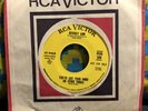 Northern Soul 45 Beverly Ann - You've Got Your Mind On Other Things RCA DJ PROMO
