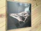 robert plant-lullaby and the ceaseless road lp 2x vinyl record 543973-1 nonesuch