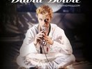 New David Bowie LiveAndWell.com Vinyl 2 LP Sealed Brilliant Live Adventures Well