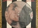 BLONDIE-parallel Lines,original 1978 USA Picture Disc Import,chrysalis Records..