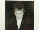 Peter Gabriel Shaking The Tree (Twelve Golden Greats) Europe Lp