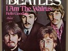 The Beatles HELLO GOODBYE / I AM THE WALRUS  1967 Capitol PICTURE SLEEVE ONLY M-