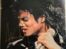 Michael Jackson, Another Part Of Me LP Record Album w/ coa
