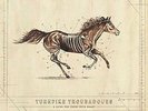 TURNPIKE TROUBADOURS-LONG WAY FROM YOUR HEART (UK IMPORT) VINYL LP NEW