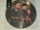 TWILIGHT SAGA NEW MOON RARE PICTURE DISC HOT TOPIC EXCLUSIVE 12
