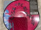 Cage The Elephant 7