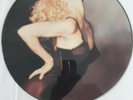 MADONNA-Vogue-Picture Disc  Incredible Condition  Near Mint