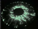 Rob Zombie Lunar Injection Kool Aid Eclipse Conspiracy CLR+ NEON GRN GLOW Blob