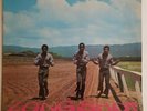 The PIONEERS - 