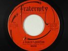 Garage 45 - Mouse - A Public Execution - Fraternity - mp3