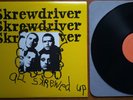 All Skrewed Up - LP An-ti-so-cial / I don't like you Vinyl  77er Punk