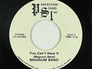 Hard Rock 45 - Magnum Band - You Can't Have It - PSI - mp3 - obscure
