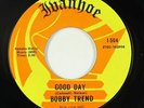 Psych Funk 45 - Bobby Trend - Good Day/Judy - Ivanhoe - VG+ mp3