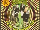 CHOCOLATE WATCHBAND: i'm not like everybody else PURPLE PYRAMID 12