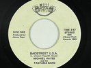 Hard Rock 45 - Michael Hayes & Fantasia Band - Badstreet USA - Grand Theft - mp3