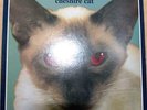 Blink 182 --Cheshire Cat from Japan