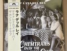 050/500 Assai Obi Edition Lana Del Rey - Chemtrails Over The Country Club Vinyl