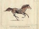 Turnpike Troubadours A LONG WAY FROM YOUR HEART +MP3s New Black Vinyl 2 LP