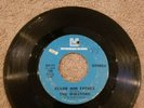 The Winstons Color Him Father 45rpm