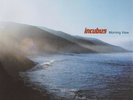 Incubus - Morning View 180-GM Vinyl 2xLP SUPER RARE 2LP 2 LP Near Mint- NM-
