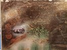 Pink Floyd LP - A Saucerful of Secrets - Tower ST 5131 - Rare 