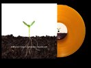 Balance and Composure / Tigers Jaw Split Vinyl Yellow Transparent Brand New