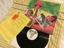 V/A LP Professor Potts Pornographic Projector Psych Mod Fuzz Acid Ark Ballroom