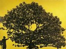 Jack Johnson In Between Dreams Black Vinyl LP New Sealed