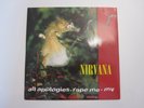 Nirvana All Apologies GFS66