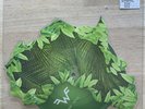 WEEZER  AFRICA Toto Cover Picture Disc 7” Vinyl NEW SEALED