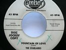 STARLARKS 45 Fountain of Love/Send Me A Picture Baby EMBER doowop Promo  Cg 273