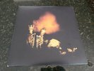 (VINYL LP RECORD) Pearl Jam Riot Act (L0645)