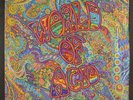 VARIOUS: world of acid PARALLEL WORLD 12