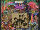 FLAT EARTH SOCIETY: waleeco Fleetwood Records (2) 12