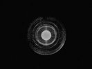 DIZZY MIZZ LIZZY: ALTER ECHO (LP vinyl *PRE-ORDER*.)