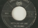 THE VOLUMES Gotta Give Her Love AMERICAN ARTS DETROIT NORTHERN SOUL USA 45