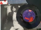 T.REX RARE CELEBRATE SUMMER DEMO.