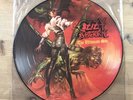 Ozzy Osbourne The Ultimate Sin Vinyl LP Picture Disc 1986 Black Sabbath