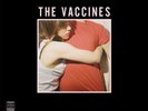 the vaccines? What Did You Expect From The Vaccines? ltd numbered pink vinyl lp