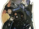 PRINCE- Purple Rain - Motorbike Picture Disc.1984 W9174P Very rare