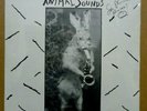 SAM PHIPPS Animal Sounds SIGNED  LP 1981 Oingo Boingo SEALED  Private Free Jazz