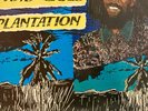 Don Carlos & Gold - Plantation LP 1984 CSA UK Issue Roots Radics