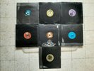 7/EP/   TECHNO /ELECTRONIC /PSY-TRANCE/FLYING AGARIC