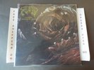 (NEW) FETID STEEPING CORPOREAL MESS BLACK VINYL LP 20 BUCK SPIN 098