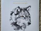 Passenger - The Boy Who Cried Wolf - Vinyl LP *NEW SEALED*