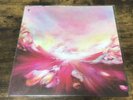 Nujabes / Luv (sic) part 5 record limited
