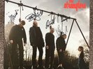 The Stranglers - very rare ‘Giants' Vinyl LP (fully signed)