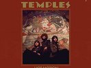 TEMPLES-HOT MOTION (COLV) (GATE) VINYL LP NEUF