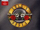 Armes & ' Roses - Greatest Hits - 180gram Double Vinyle LP Neuf et Scellé