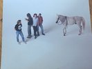 Soul Asylum, And The Horse They Rode In On, 12” Color Vinyl, 1990, Twin Tone